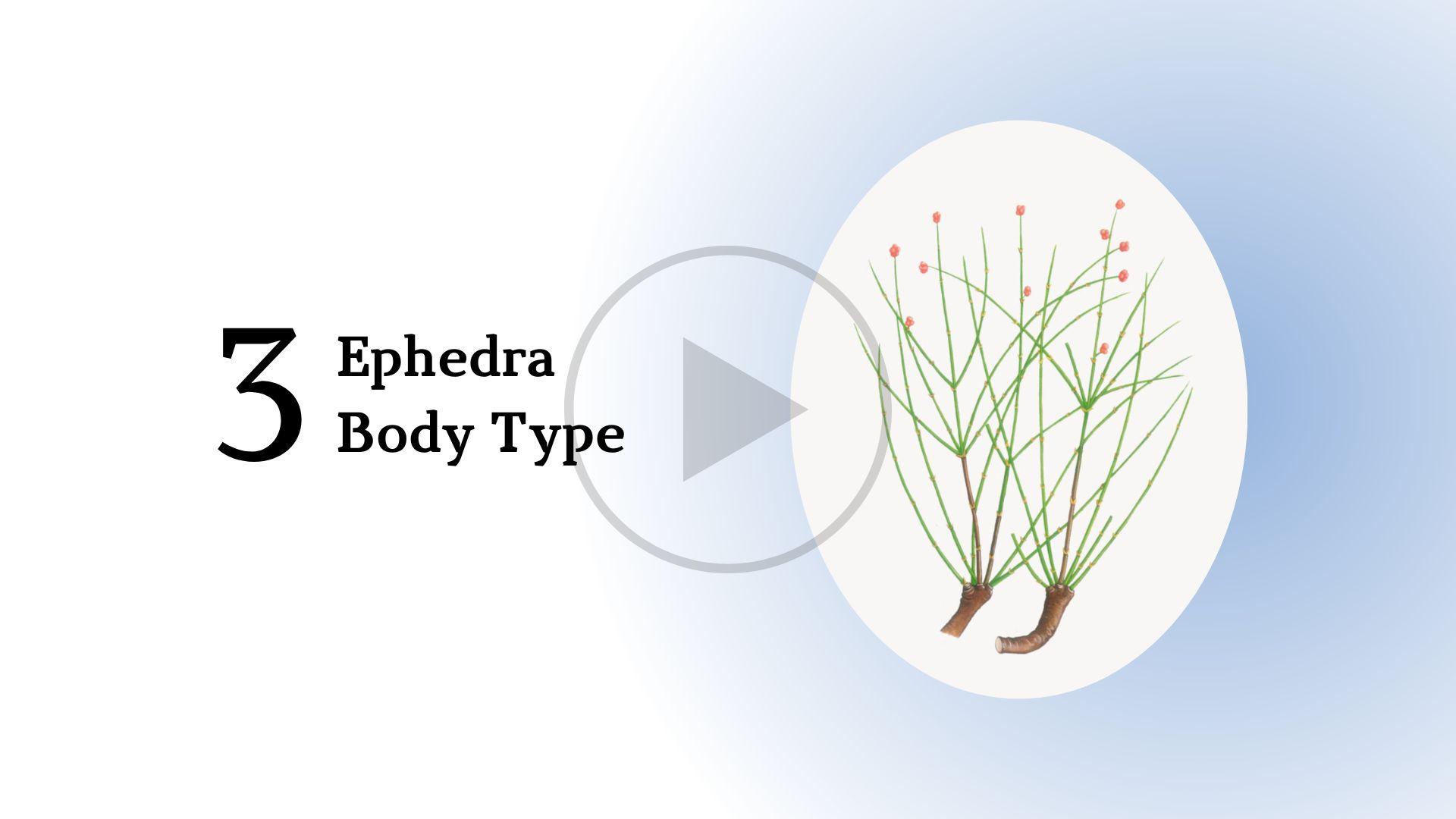 Ephedra Body Type Short Course