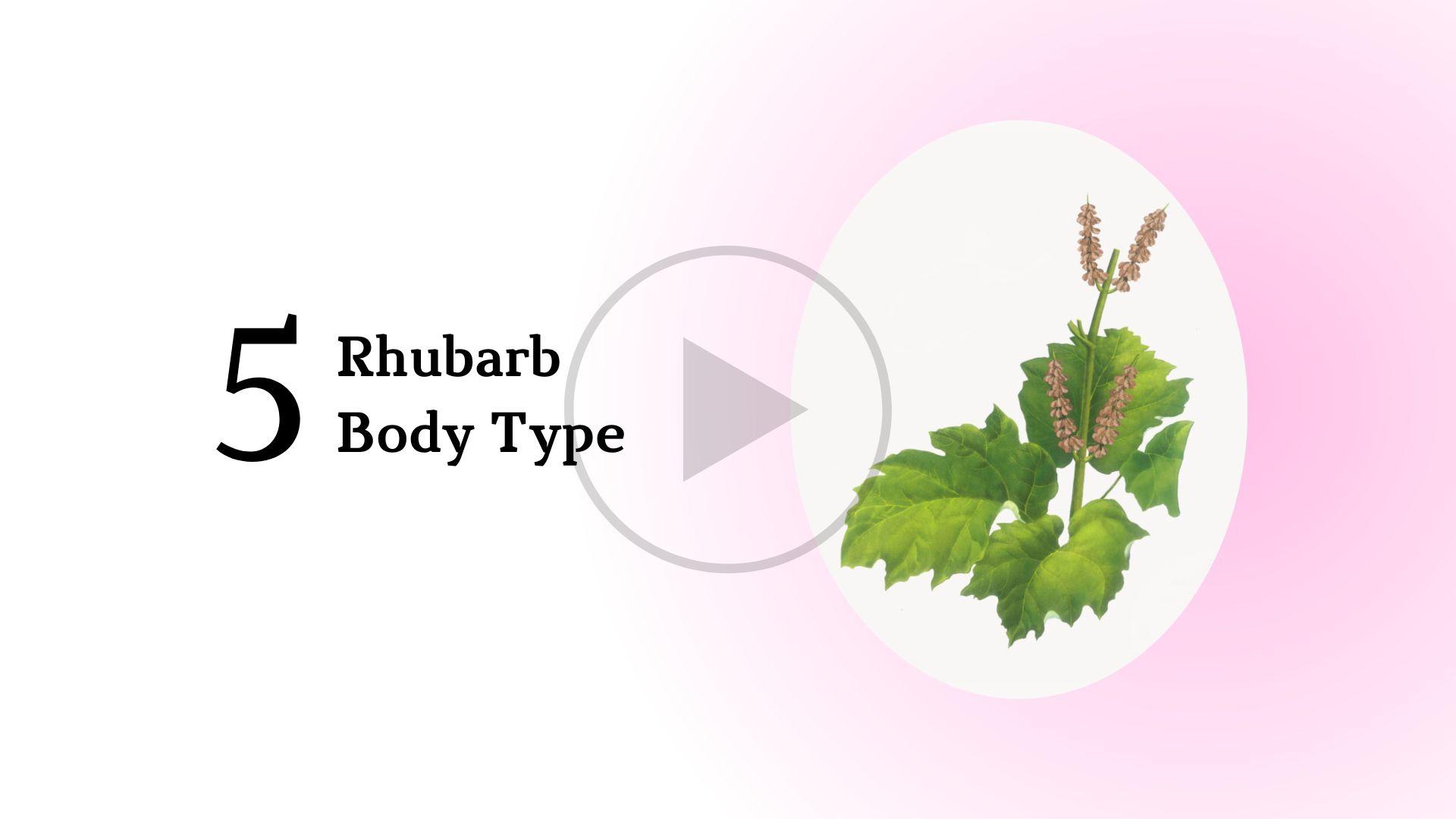 Rhubarb Body Type Short Course