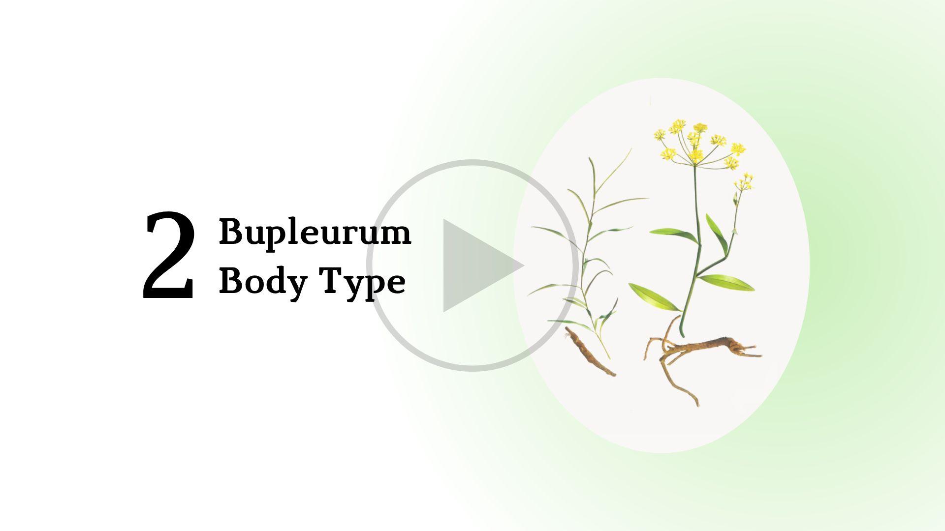Bupleurum Body Type Short Course