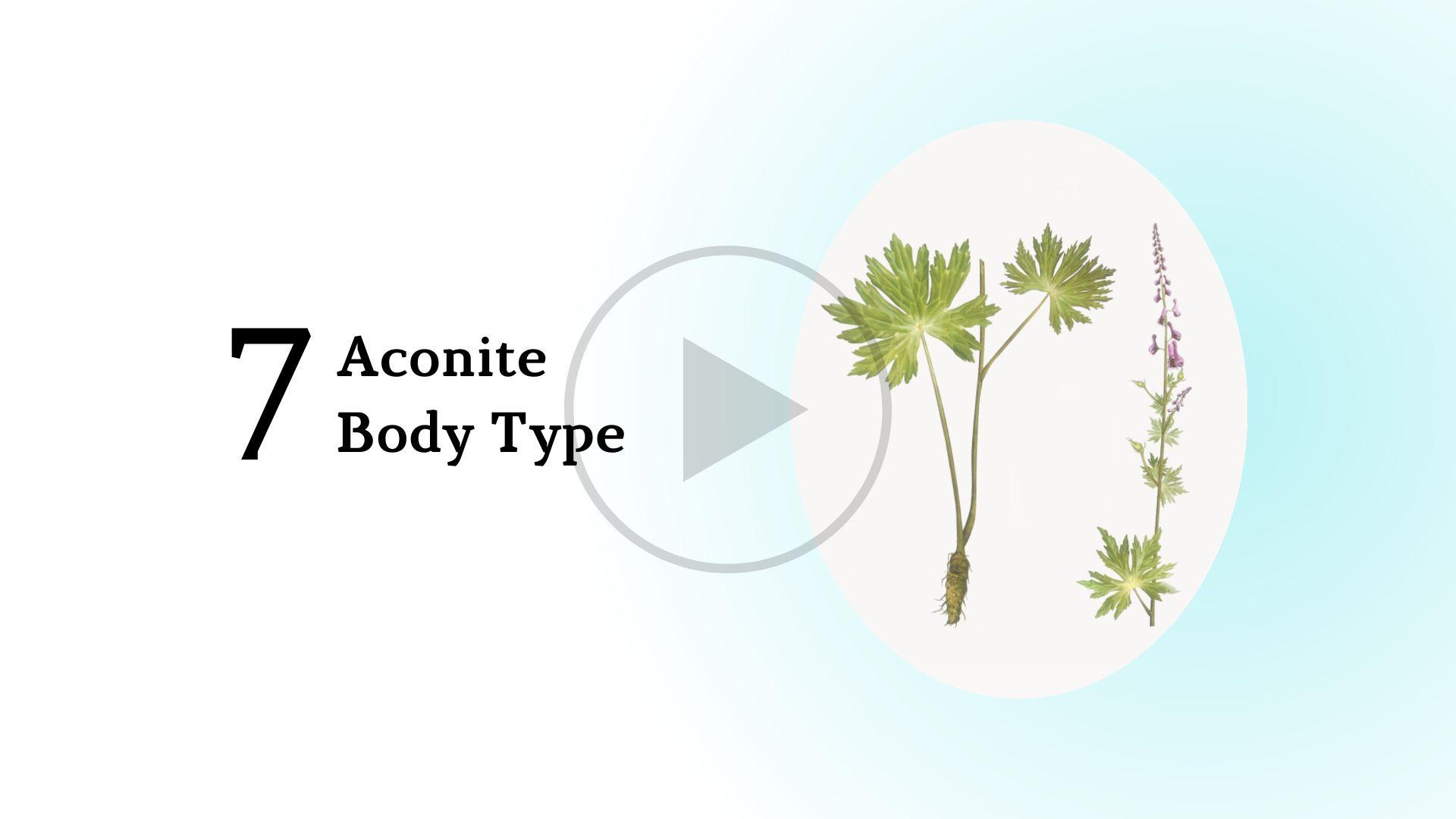 Aconite Body Type Short Course