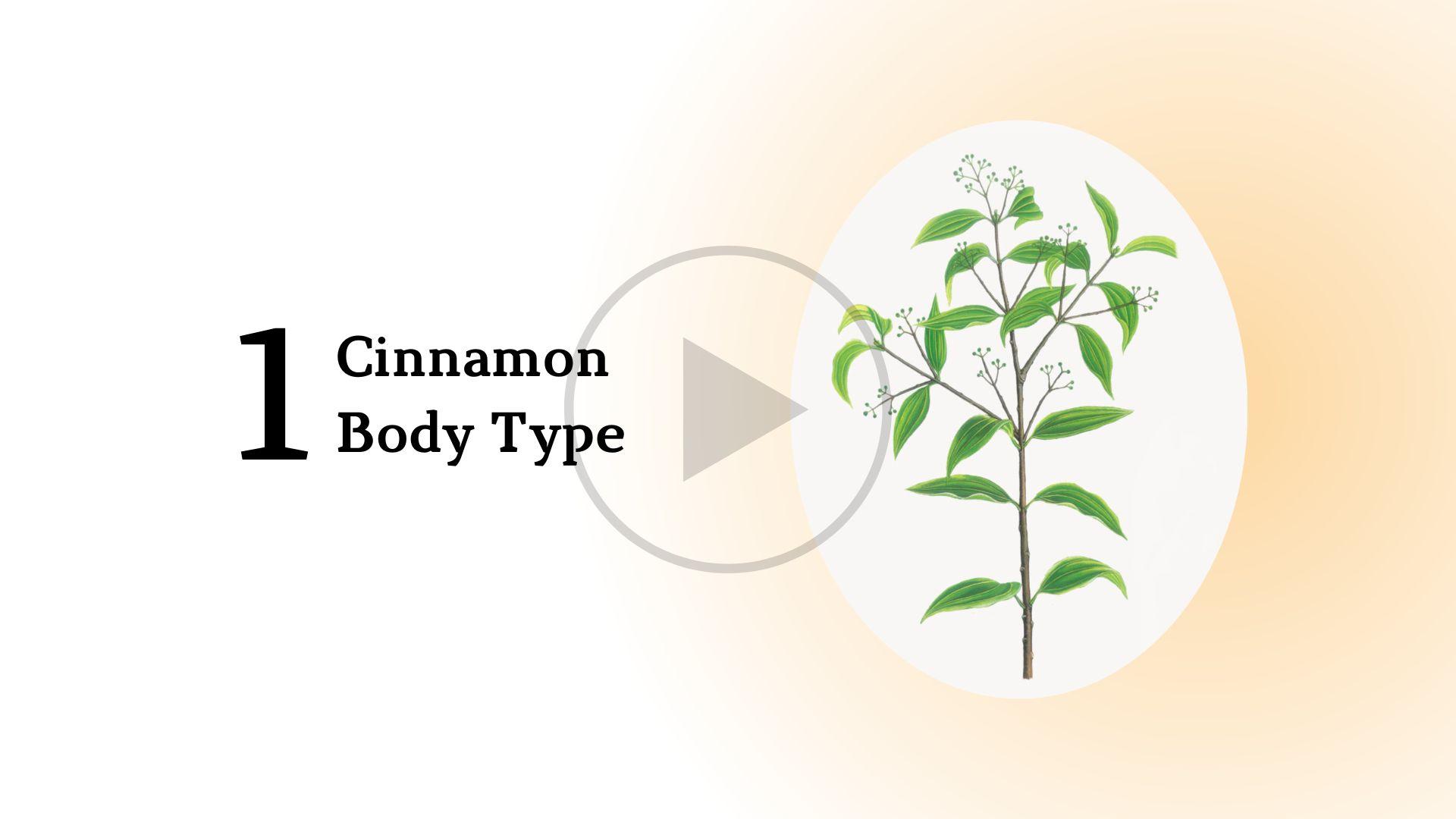 Cinnamon Body Type Short Course