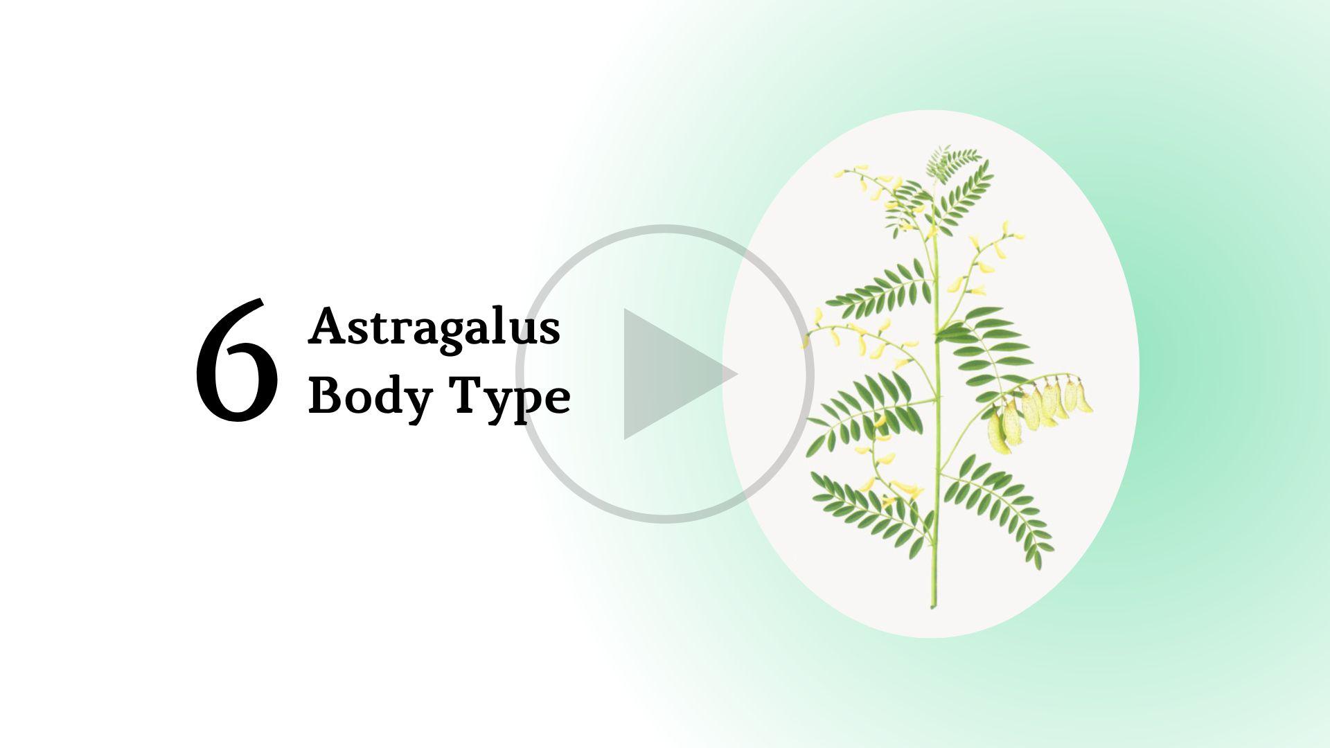 Astragalus Body Type Short Course